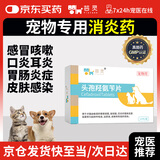 芸灵宠物消炎药狗狗猫咪泌尿感染呼吸肠胃皮肤病外伤头孢羟氨苄12片