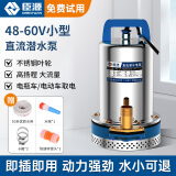 臣源直流潜水泵48-60v高扬程12V24V72V电瓶车抽水泵家用农用抽水机 48-60V/1寸(7米线+5米水带)