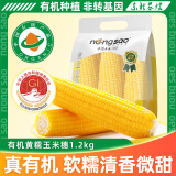 东北农嫂糯玉米甜糯香粘真空装黏玉米棒粒吉林产低脂主食可选有机 【有机】黄糯玉米 1.2kg*1箱 约6穗