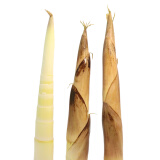 【迎春而食】福建武夷山春笋500g