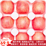 蔬农联山东烟台红富士苹果 时令苹果水果 整箱新鲜水果应季水果生鲜礼盒 10斤装 单果190g+ 净重8.5斤+