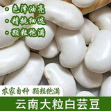 【新货】云南白芸豆大白芸豆新货农家豆类杂粮炖汤干货批发白芸豆 白芸豆1000克