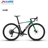 喜德盛公路自行车2025-AD350碳纤前叉座管功率计齿盘铝合金超轻气动车架 鹦鹉绿 450mm