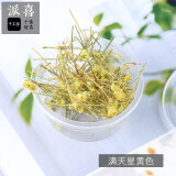 派喜滴胶干花满天星 水晶滴胶干花滴胶ab胶模具带枝花朵 多规格 黄色