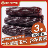 守望乡村（KEEP W-VILLAGE GO）东北玉米 甜糯香玉米 真空独立包装新鲜健康早餐粗粮苞米棒 600g (黑色玉米 3支）