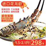 鲜承 大龙虾鲜活冷冻小青龙年货海鲜礼盒大礼包虾 澳洲龙虾 锦绣花龙(净重)1.5-2.1斤/只