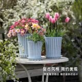 芷郁树脂塑料花盆防陶瓷花盆大号绿萝月季多肉小花盆室内阳台 小号