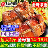 【活蟹】网兜蟹特大辽宁盘锦河蟹稻田河蟹礼盒鲜活螃蟹鲜活大闸蟹 全母蟹 1.2-1.4两【2斤】14-16只