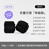 Keep 负重沙袋绑腿绑手腕跑步训练装备学生中考训练墨黑色0.5kg*2