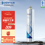 爱惠浦（Everpure） H-100C 净水器滤芯