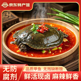荆八宝 麻辣卤甲鱼熟食 王八整只湖北特产团鱼老鳖王卤味快手菜加热即食 250g*4只卤甲鱼【香辣味】