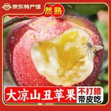 智田喜四川大凉山盐源丑苹果冰糖心脆甜红富士时令新鲜水果孕妇小孩可吃 丑苹果净重5斤/单果70-80mm