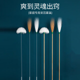 领臣采耳工具套装掏耳朵神器掏耳勺采耳鹅毛棒专业打耳朵毛毛棒