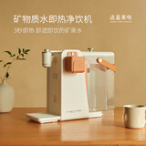 适盒（A4BOX） 净饮一体机荷正电膜净水器台式即热式饮水机家用免安装台式直饮机台式茶水机冲泡奶神器 矿物质即热净饮机单滤芯【可过滤自来水直饮】 即热型