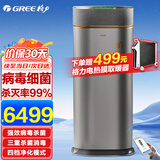 格力（GREE） 卫健委备案空气消毒机猎手空气净化器家用卧室办公室专用新风净化机细菌过滤器 小猎手KXJFA300-A04