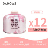 Dr.HOWS韩国户外扁便携式户外高原高山野外野炊气罐 高山粉230*12【广东地区】