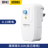 国际电工（FDD）漏电保护插头 家用电器热水器防水防触电保护器 插座转换头 加厚款-漏保插头10A(自己接线 
