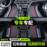 鑫盛凌汽车脚垫TPE全包围地毯式丝圈车垫原厂全车专用后备箱垫汽车脚垫 双层【三色款雪妮丝】TPE脚垫 丰田凯美瑞亚洲龙卡罗拉雷凌锐放