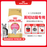 皇家猫粮 英短幼猫粮 BSK38 通用粮 4-12月 2KG