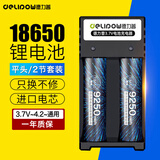 德力普（Delipow）18650锂电池3.7V-4.2V大容量9250mWh强光手电筒专用电池充电器套装 麦克风/头灯/航模/小风扇通用