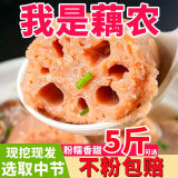 湖北现挖胜洪湖莲藕粉糯正宗天门新鲜煲汤可做藕粉应季蔬菜食材10 净重5斤 【精选中大节】