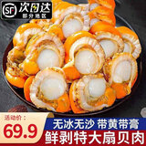 鲜拔头筹 扇贝肉超大带黄扇贝肉  新鲜大扇贝蒜蓉粉丝扇贝生鲜贝类 大号 扇贝肉 1500g（净重）