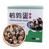 鲜窝窝 新鲜生鹌鹑蛋 鹑鸟蛋 生鲜鹌鹑蛋 附卤蛋料包 125枚【礼盒装】无卤料包