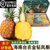鑫果滋【顺丰】海南金钻凤梨 超甜无眼凤梨水果送礼树上熟香水手撕凤梨 大果8.5-9斤（3-4个） 【顺丰/JD快递】