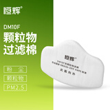 恒辉防尘口罩面罩 防工业重度粉尘灰尘防烟呼吸面罩 专用煤矿打磨装修喷漆防护面具 防尘面具滤棉【10片】DM10F