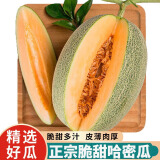 三萌果蔬哈密瓜晓蜜25号哈密瓜海南新鲜水果孕妇蜜瓜网纹瓜节日送礼 5斤装【手挑果】净重4.5斤