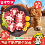密水农家新鲜内蒙古牛尾骨 原切整根牛尾巴段 宝宝火锅烧烤食材 生鲜牛肉 牛尾骨 2斤