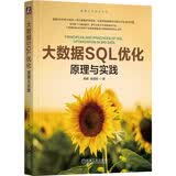 大数据SQL优化：原理与实践