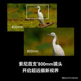 索尼（SONY）FE 400-800mm F6.3-8 G OSS 全画幅超远摄变焦G镜头 (SEL400800G)