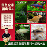 云峰海瑞清洁鱼活体热带鱼观赏鱼水族宠物工具鱼垃圾鱼老鼠鱼鱼缸除藻 鼠鱼全家福套餐A 共5条
