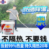 碧家索 反射隔热防水涂料 宿舍屋顶仓库屋面厂房防晒油漆铁皮彩钢瓦隔热漆单位屋顶防水材料 10kg/桶（施工约20㎡）