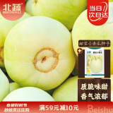 北蔬 甜瓜种子香瓜早熟冰糖心白肉春季种籽 甜宝小香瓜种子5g约500粒