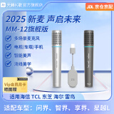 天籁K歌MM-12适用于问界智界享界星越L海信雷鸟TCL海尔连接电视音乐K歌无线麦克风卡拉OK唱歌话筒家用娱乐 2025年新品 多场景麦克风（银灰） MM-12旗舰款