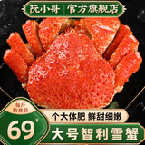 阮小哥熟冻智利雪蟹大闸蟹鲜活螃蟹海鲜整只大鳕蟹水产冷冻腿大螃蟹 300g【鲜活熟冻】1只*300-400g