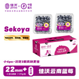 佳沃（joyvio）云南当季蓝莓sekoya系列 巨无霸22mm+ 4盒装 约125g/盒 水果礼盒