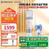 滨特尔（pentair） 净水器家用直饮厨下式超滤前置净水机保留矿物质母婴净水机自来水过滤器饮水机 【推荐】VIR3000S不插电0废水