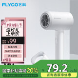 飞科 FLYCO 电吹风机宿舍用 柔风负离子恒温护发 家用冷热大风量快速干发吹风筒FH6290 1800W