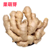 京地达 山东大姜 新鲜蔬菜 生姜干姜 净重1斤 蔬菜葱姜蒜源头直发包邮