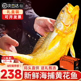 渔吻深海特大黄花鱼新鲜海捕冰鲜大黄鱼2斤一条海鲜鱼类 【8斤礼盒装】4条特大黄花鱼