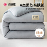 洁丽雅（Grace）A类面料 纤维被 秋冬季被子 厚5斤150*200cm经典灰