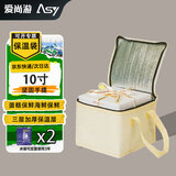 爱尚游（ASY）10寸保温袋野餐包铝箔保冷袋饭盒包大容量保温箱冷饮啤酒奶茶