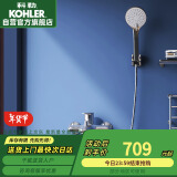 科勒（KOHLER）挂墙式淋浴花洒套装浴缸龙头家用手持花洒淋浴器 28580 带下出水