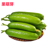 京地达山东水果小黄瓜  净重5斤 单果120g+ 现摘新鲜蔬菜源头直发包邮