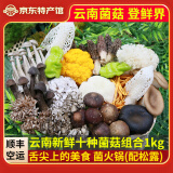 玉燕妃云南新鲜金耳黑松露竹荪鹿茸菇组合 竹荪蛋 见手青羊肚菌火锅食材 10菌组合1kg