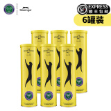 史莱辛格（Slazenger） 网球温网用球铁罐/胶罐训练比赛施莱辛格豹子球练习球专业网球 铁罐四粒装/6筒