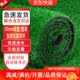 萌肉居 仿真草坪加密假草人造假草皮塑料绿色地毯围挡户外室内幼儿园操场装饰草人工草坪（30mm夏草/平方）